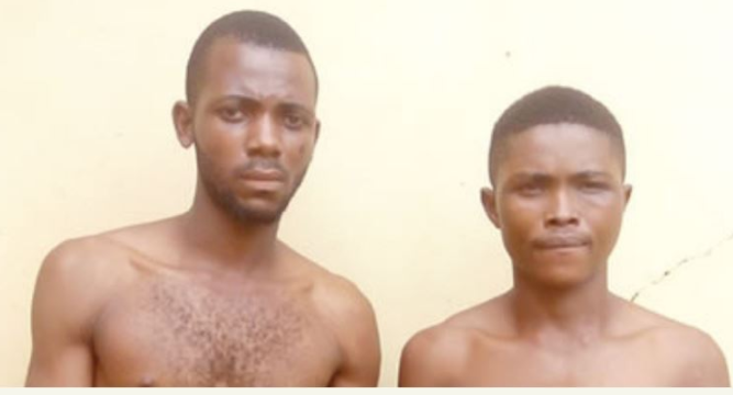 IMSU Student Arrested For Armed Robbery(photo)