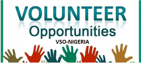 How To Apply For The National Paid Volunteer Program With VSO Nigeria